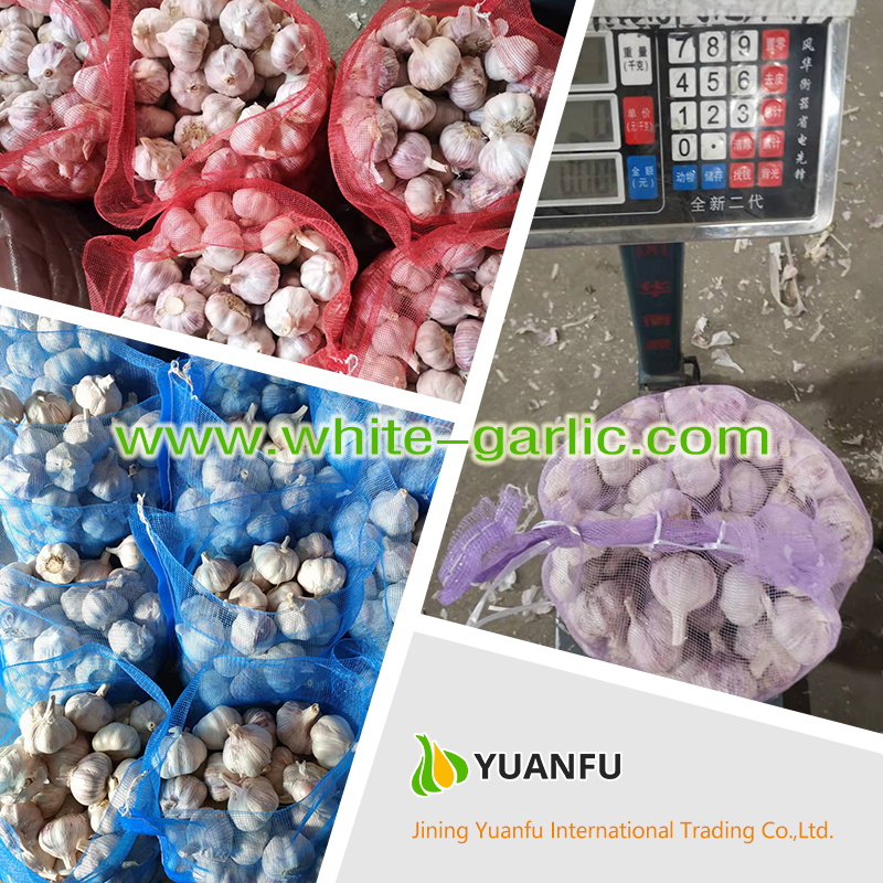 garlic sellers garlic sellers